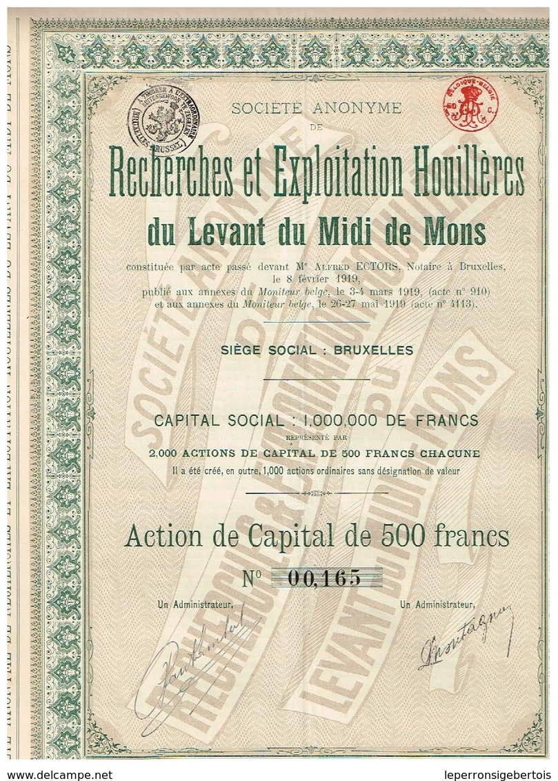 Action Ancienne - Recherches Et Exploitation Houillères Du Levant Du Midi De Mons - Titre De 1919 - N°00165 - Mines