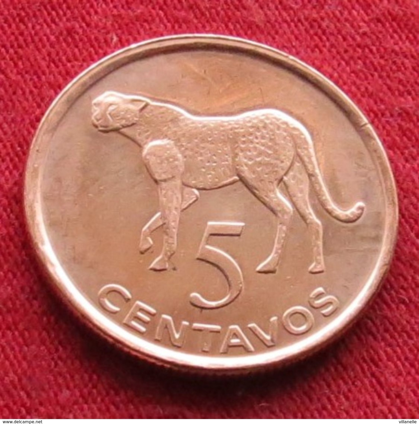 Mozambique Moçambique 5 Centavos 2006 Gepard Cat Mozambico UNCºº - Mozambique