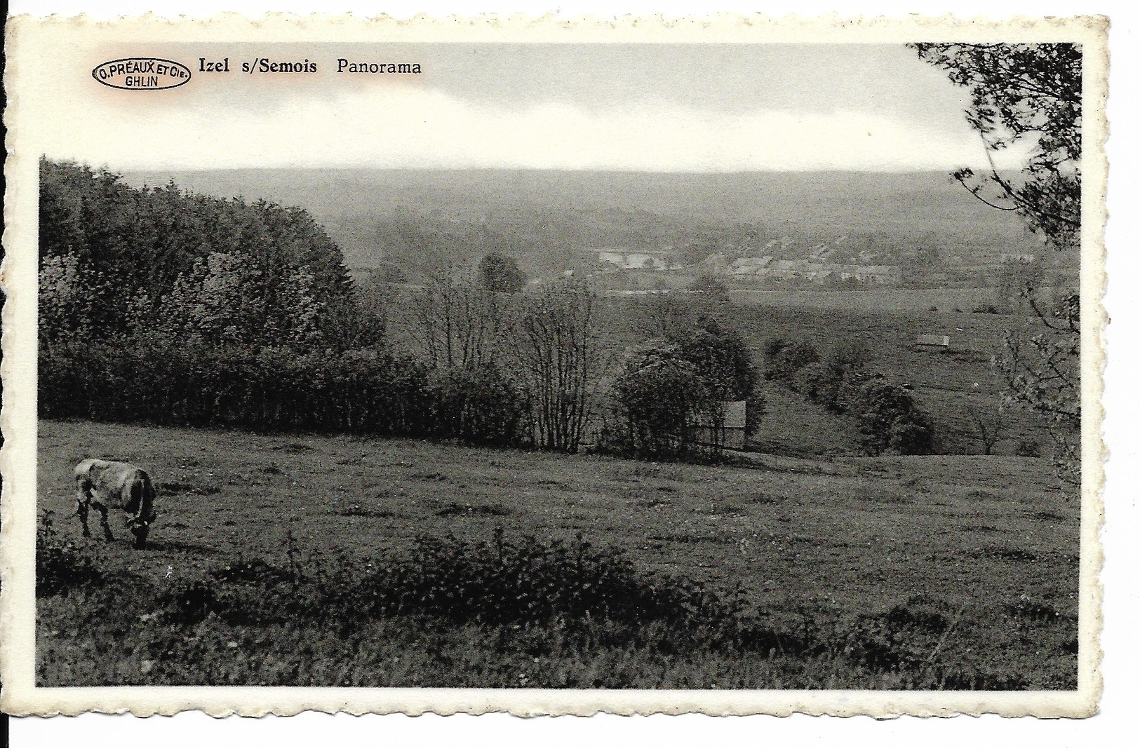 Izel Sur Semois Panorama - Chiny