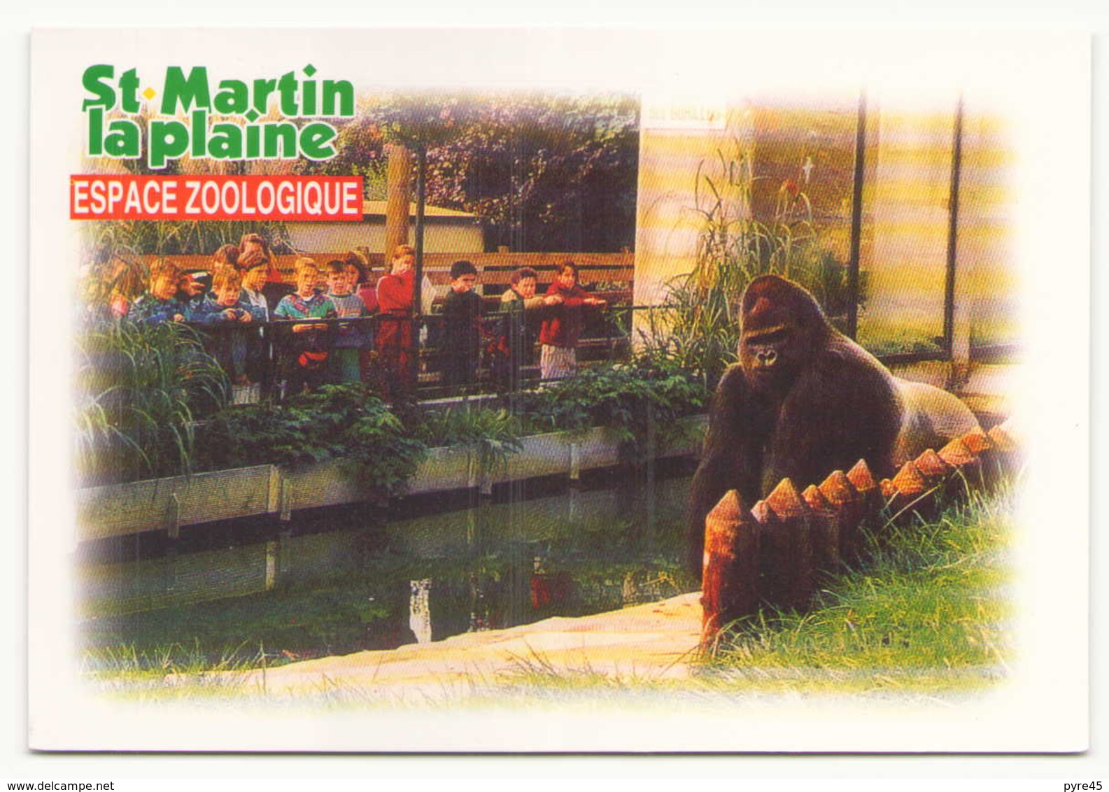 SAINT MARTIN LA PLAINE ESPACE ZOOLOGIQUE GORILLE - Monos