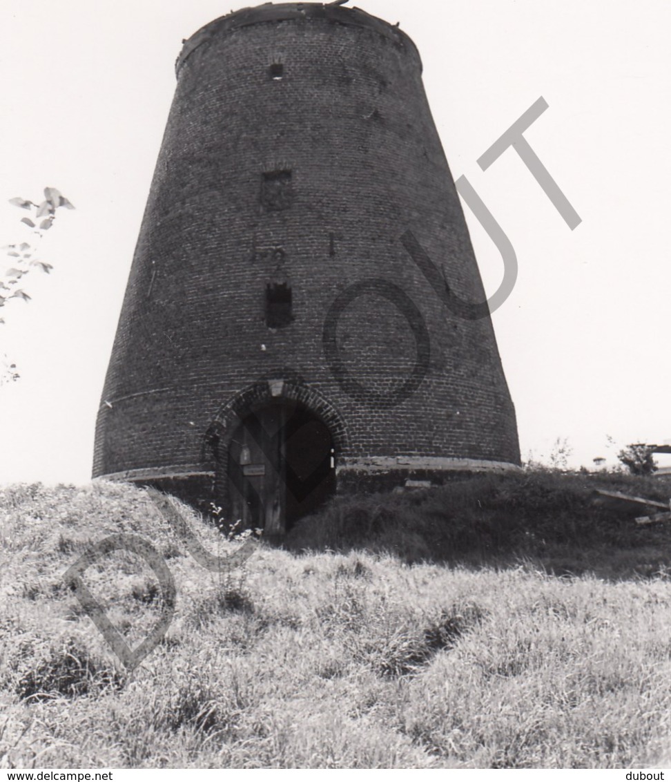 Riemst MOLEN / MOULIN -Originele Foto Jaren '70 ( A.Carre) 32 - Riemst