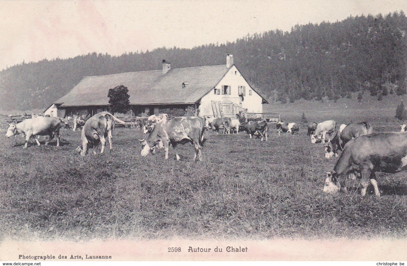 Lausanne, Photographie Des Arts, Autour Du Chalet, Suisse (pk50440) - Lausanne