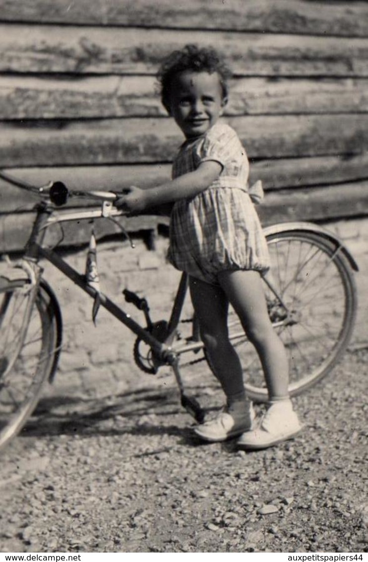 3 Photos Originales De Alain Dans L'Aube à Pel-et-Der (10500) En Juillet 1952 - Vélo, Chiens, Cheval à La Ferme - Personnes Identifiées