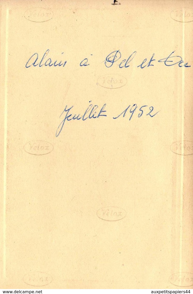 3 Photos Originales de Alain dans l'Aube à Pel-et-Der (10500) en juillet 1952 - Vélo, Chiens, Cheval à la Ferme