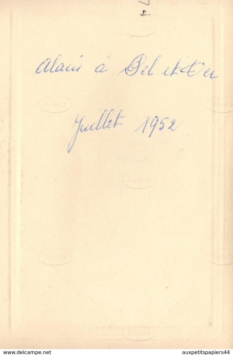 3 Photos Originales de Alain dans l'Aube à Pel-et-Der (10500) en juillet 1952 - Vélo, Chiens, Cheval à la Ferme