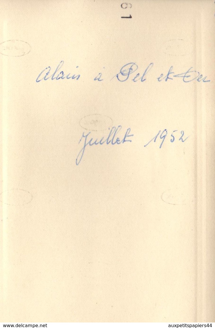 3 Photos Originales de Alain dans l'Aube à Pel-et-Der (10500) en juillet 1952 - Vélo, Chiens, Cheval à la Ferme