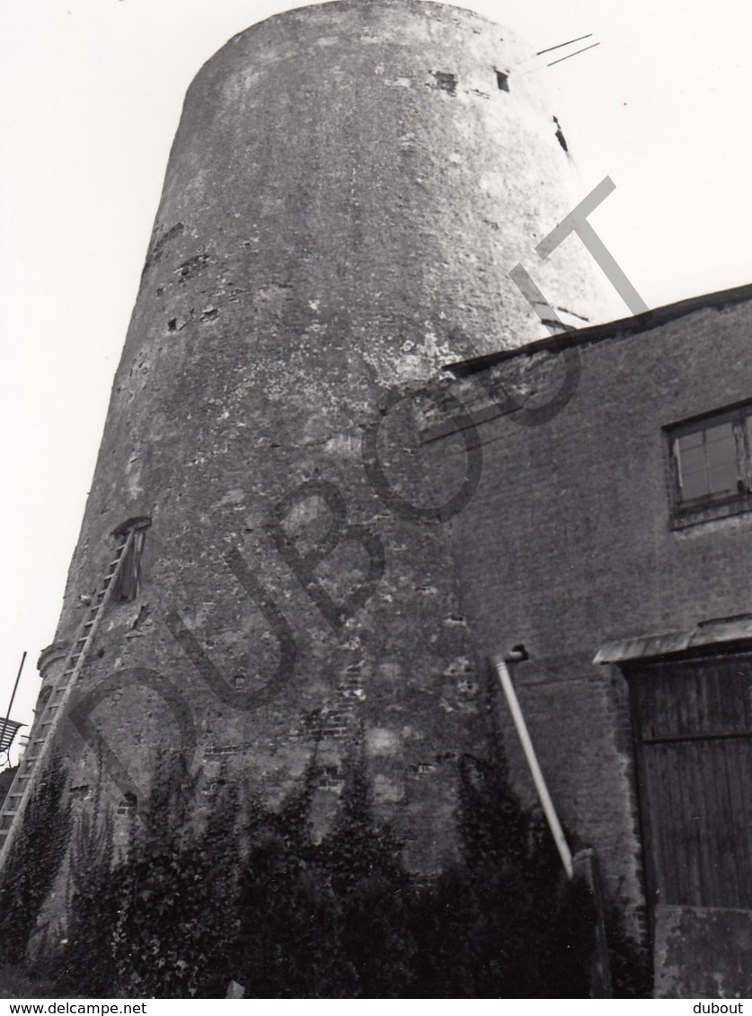 Balen MOLEN / MOULIN -Originele Foto Jaren '70 ( A.Carre) 52 - Balen