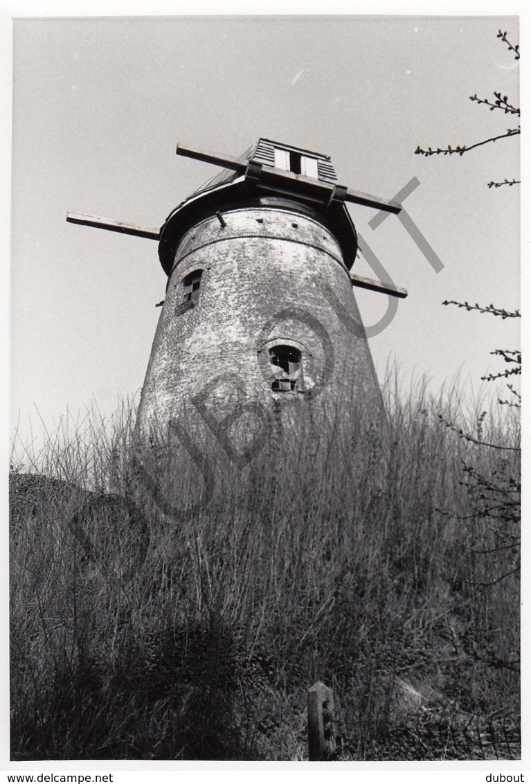 Lommel MOLEN / MOULIN -Originele Foto Jaren '70 ( A.Carre) 53 - Lommel