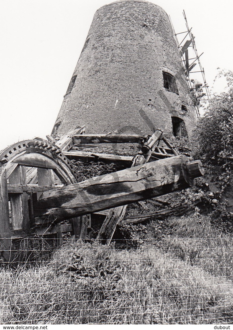 Balegem MOLEN / MOULIN -Originele Foto Jaren '70 ( A.Carre) 56 - Oosterzele