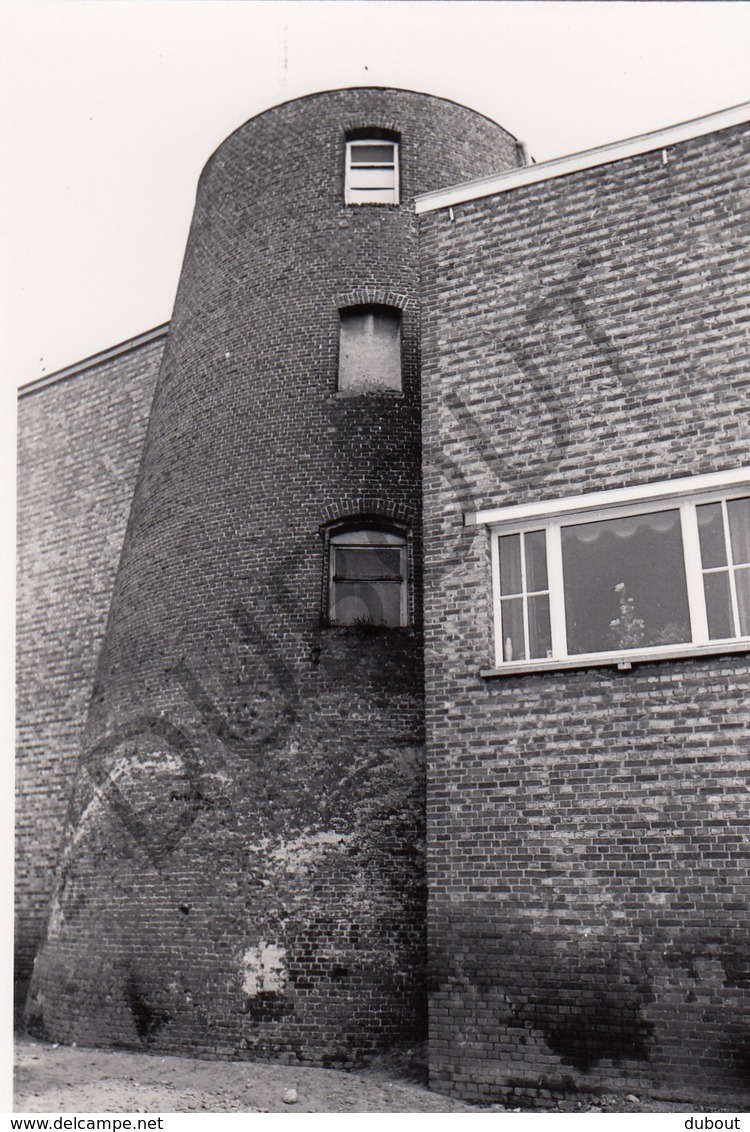 Nijlen MOLEN / MOULIN -Originele Foto Jaren '70 ( A.Carre) 60 - Nijlen