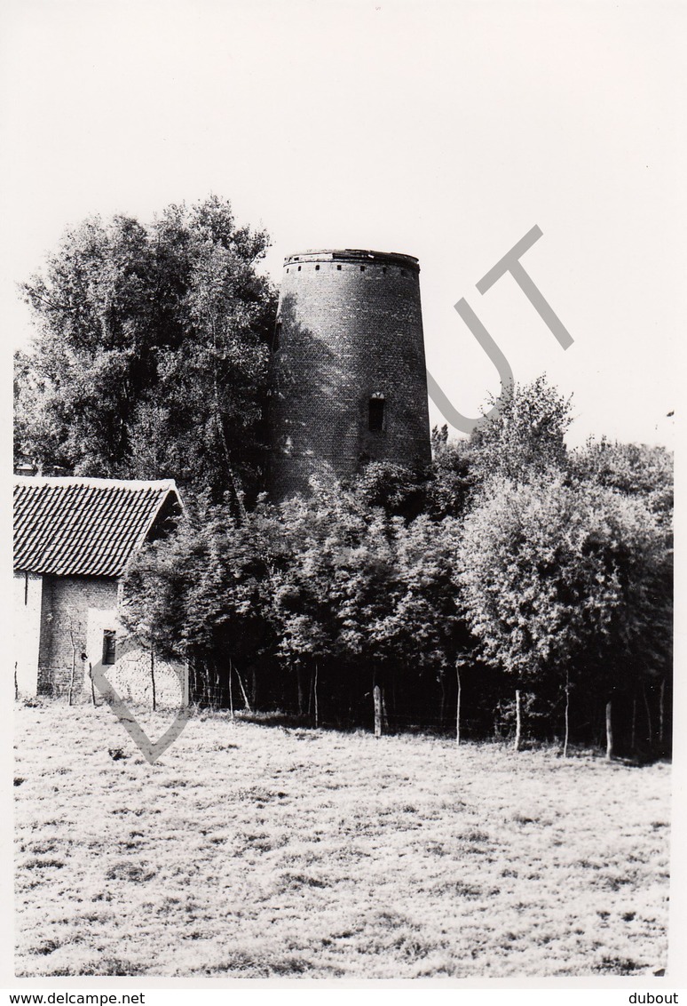 Lokeren MOLEN / MOULIN -Originele Foto Jaren '70 ( A.Carre) 61 - Lokeren