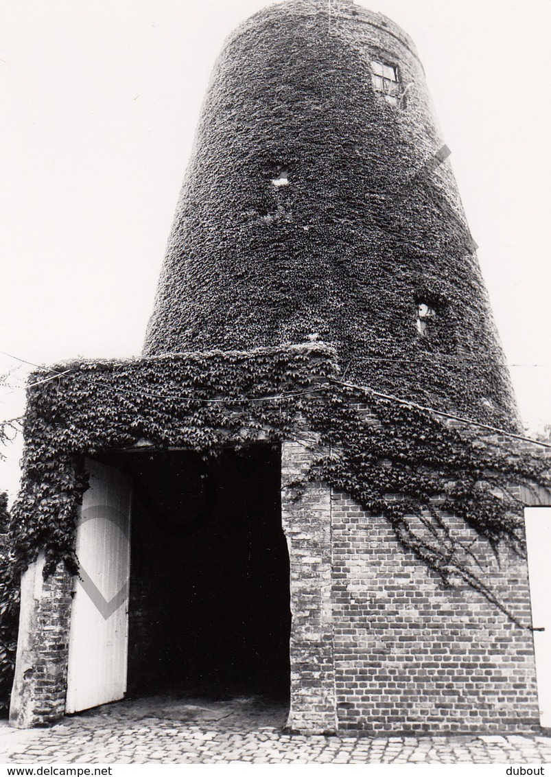 Destelbergen MOLEN / MOULIN -Originele Foto Jaren '70 ( A.Carre) 64 - Destelbergen