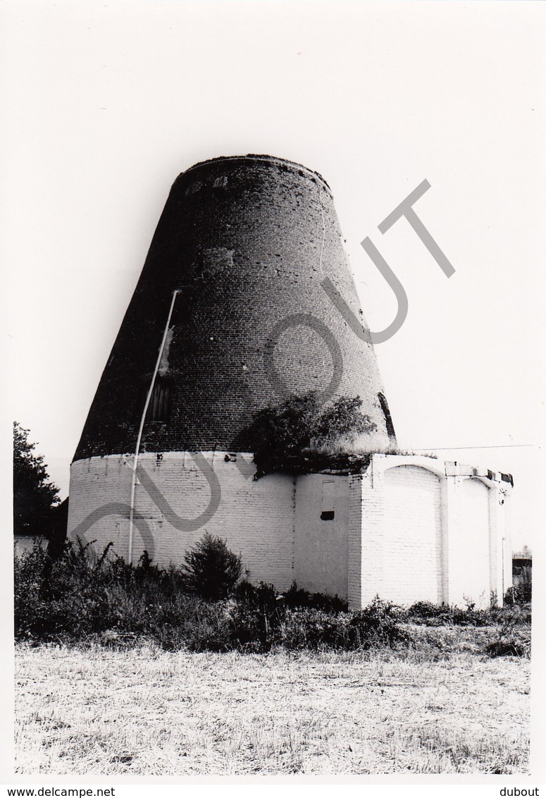 Semmerzake MOLEN / MOULIN -Originele Foto Jaren '70 ( A.Carre) 65 - Gavere