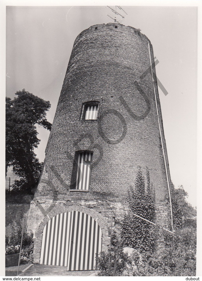 Buggenhout MOLEN / MOULIN -Originele Foto Jaren '70 ( A.Carre) 71 - Buggenhout