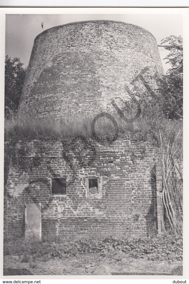 Lebbeke MOLEN / MOULIN -Originele Foto Jaren '70 ( A.Carre) 73 - Lebbeke