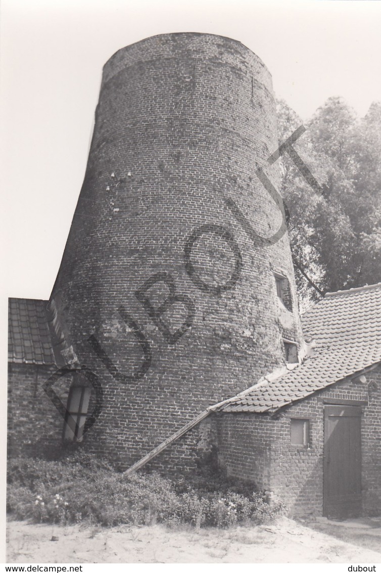 Buggenhout MOLEN / MOULIN -Originele Foto Jaren '70 ( A.Carre) 76 - Buggenhout