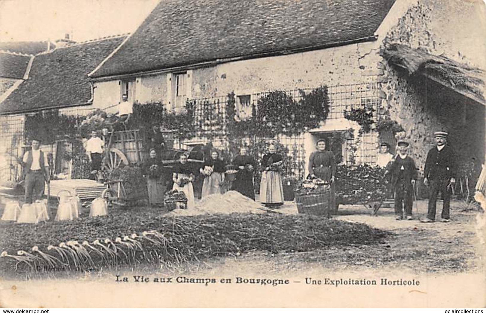 Bourgogne    89      La Vie Aux Champs  Une Exploitation Horticole        (voir Scan) - Altri & Non Classificati