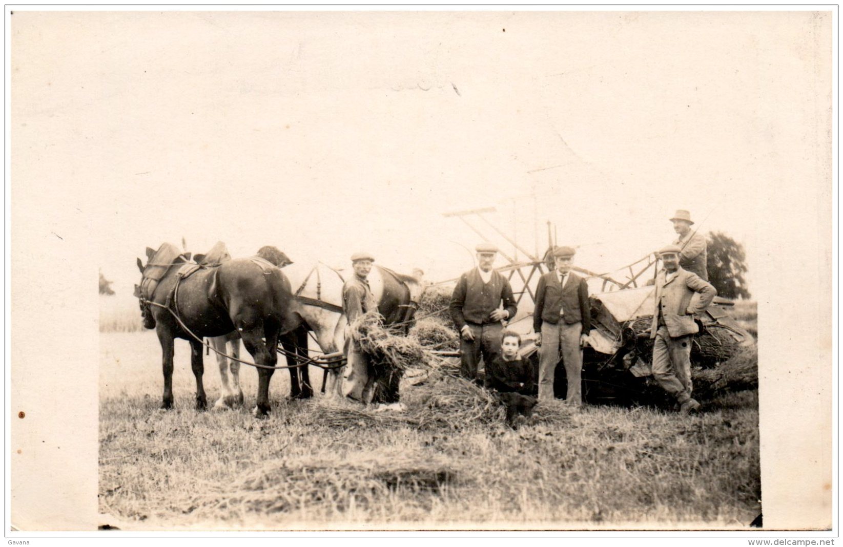 86 LOUDUN - Souvenir Des Moissons 1924 - Carte-photo - Loudun