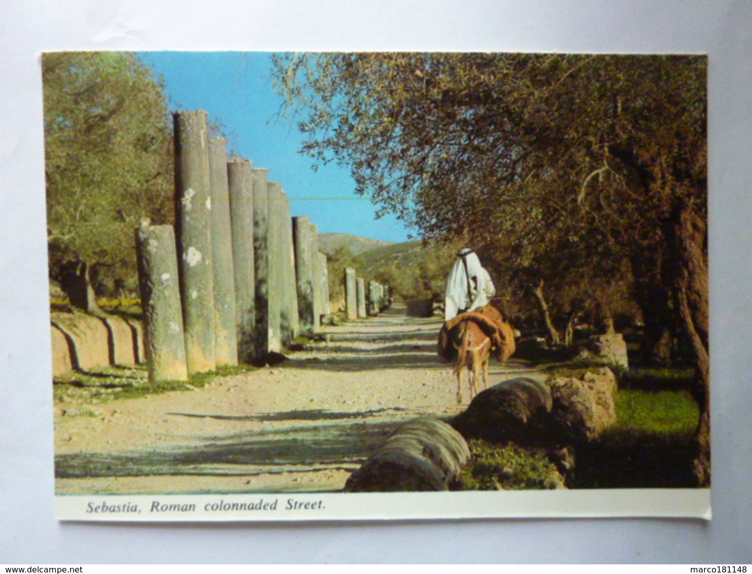 SEBASTIA - Roman Colonnaded Street - Palestine