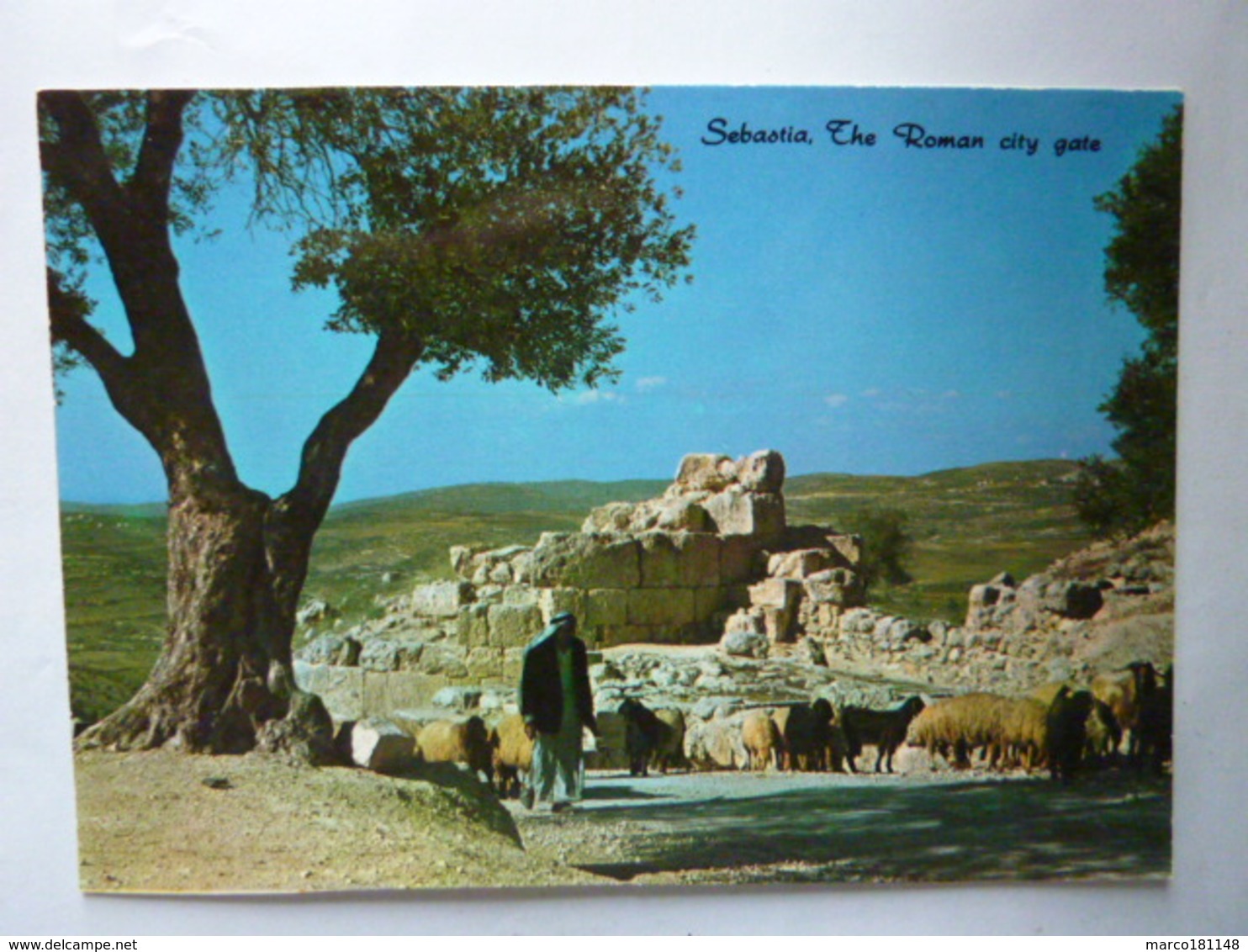 SEBASTIA - The Roman City Gate - Palestine