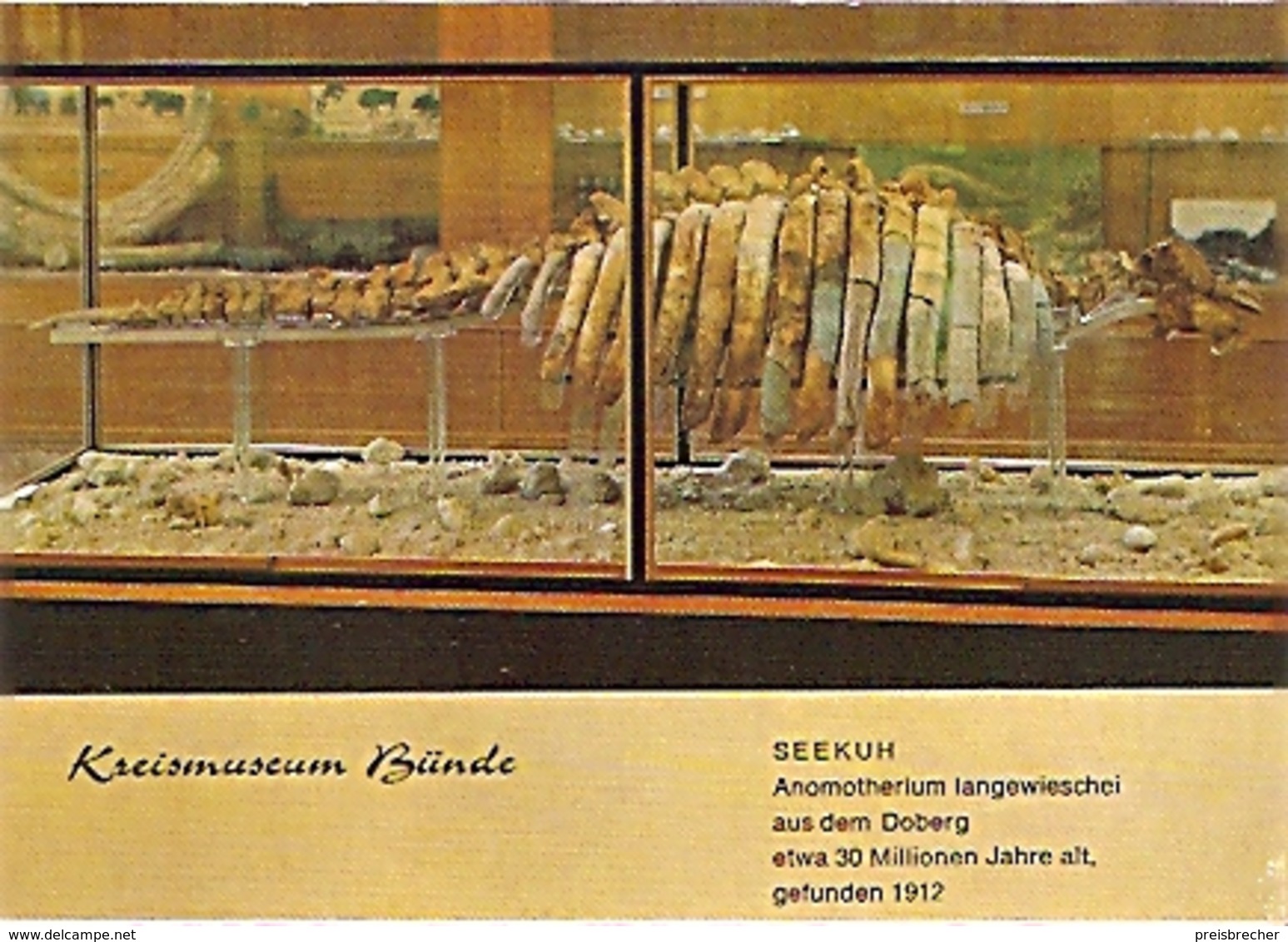 Bünde - Kreismuseum - Seekuh (539) - Buende