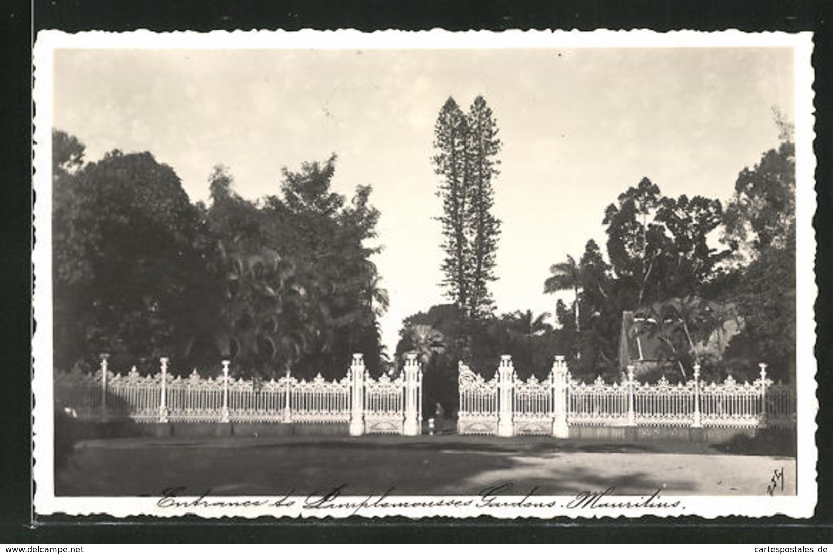 CPA Mauritius, Entrance To Pamplemousses Gardens - Maurice