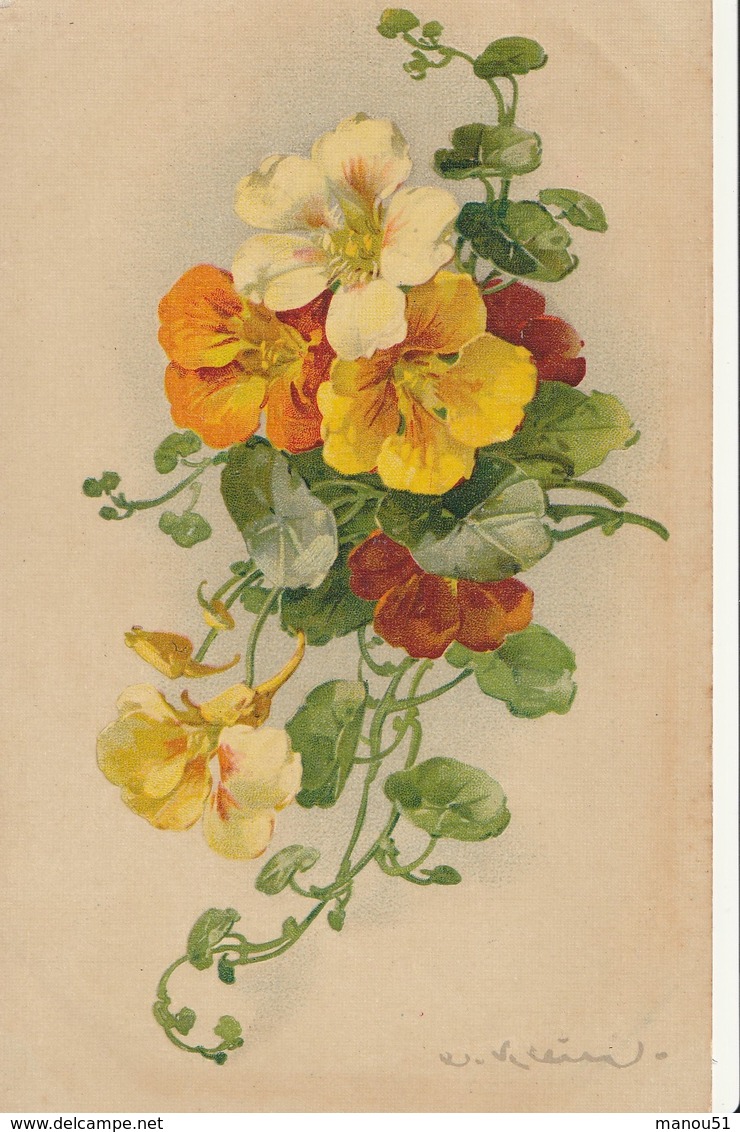 Illustrateur - Catharina KLEIN - Fleurs - Klein, Catharina