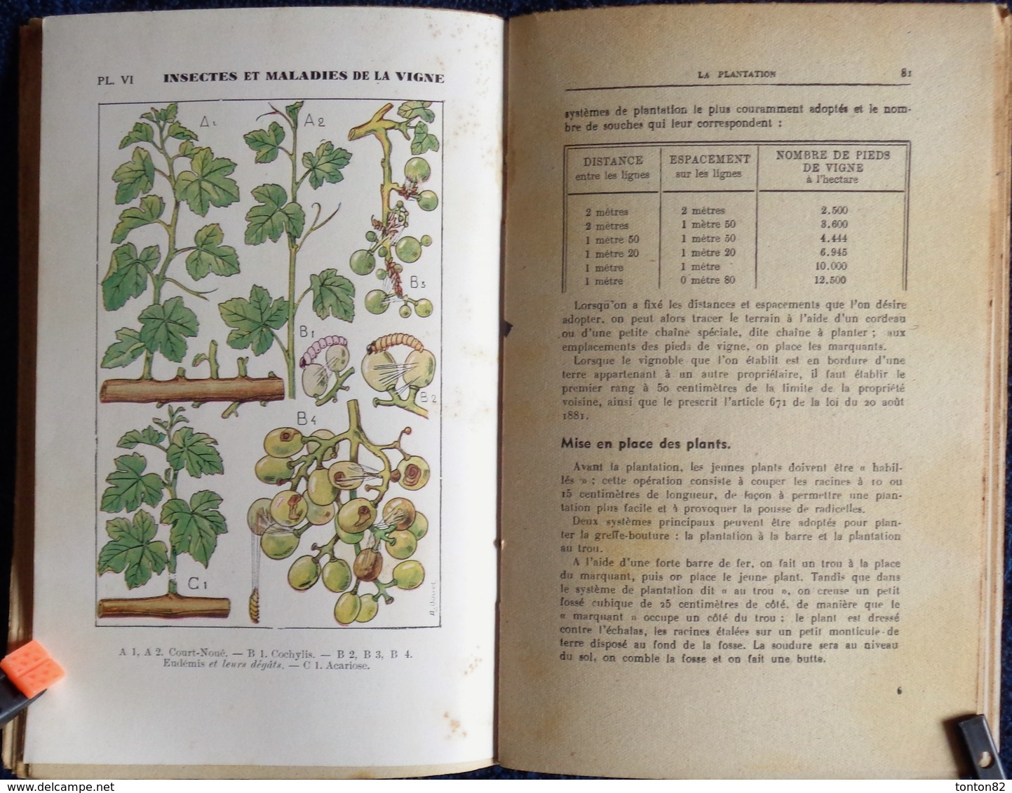 J. Loustaunau - Déguilhem - La Vigne Et Le Vin - Collection RUSTICA - Éditions De Montsouris - ( 1946 ) . - Garden