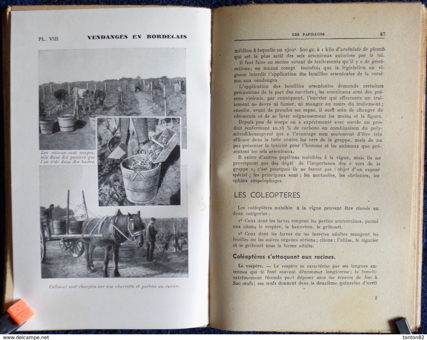 J. Loustaunau - Déguilhem - La Vigne et le Vin - Collection RUSTICA - Éditions De Montsouris - ( 1946 ) .