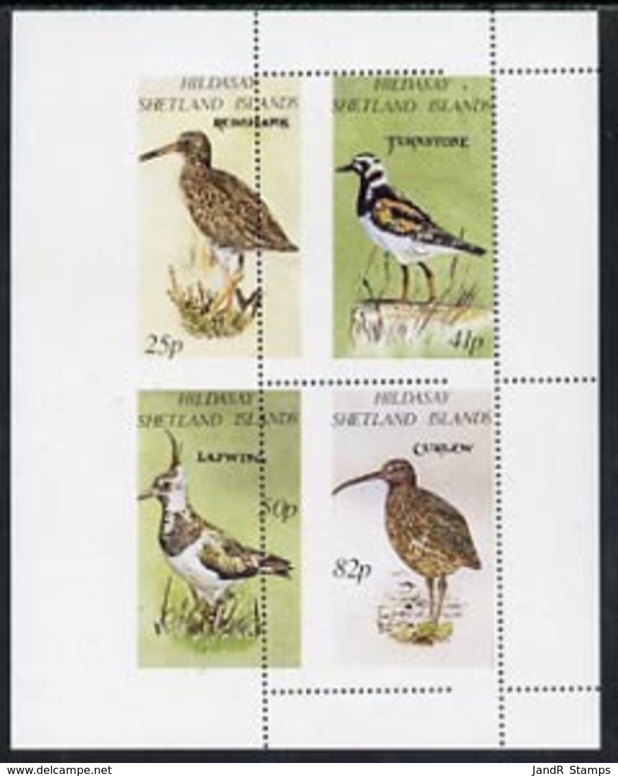 Shetland Islands 1995 Birds BIRDS REDSHANK TURNSTONE CURLEW LAPWING Perf Set Of 4 With Perforations Dramatically Misplac - Local Issues