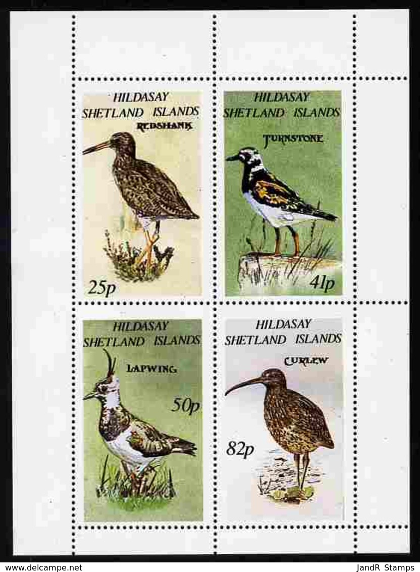 Shetland Islands 1995 Birds Perf Set Of 4 Mnh BIRDS REDSHANK TURNSTONE CURLEW LAPWING - Local Issues