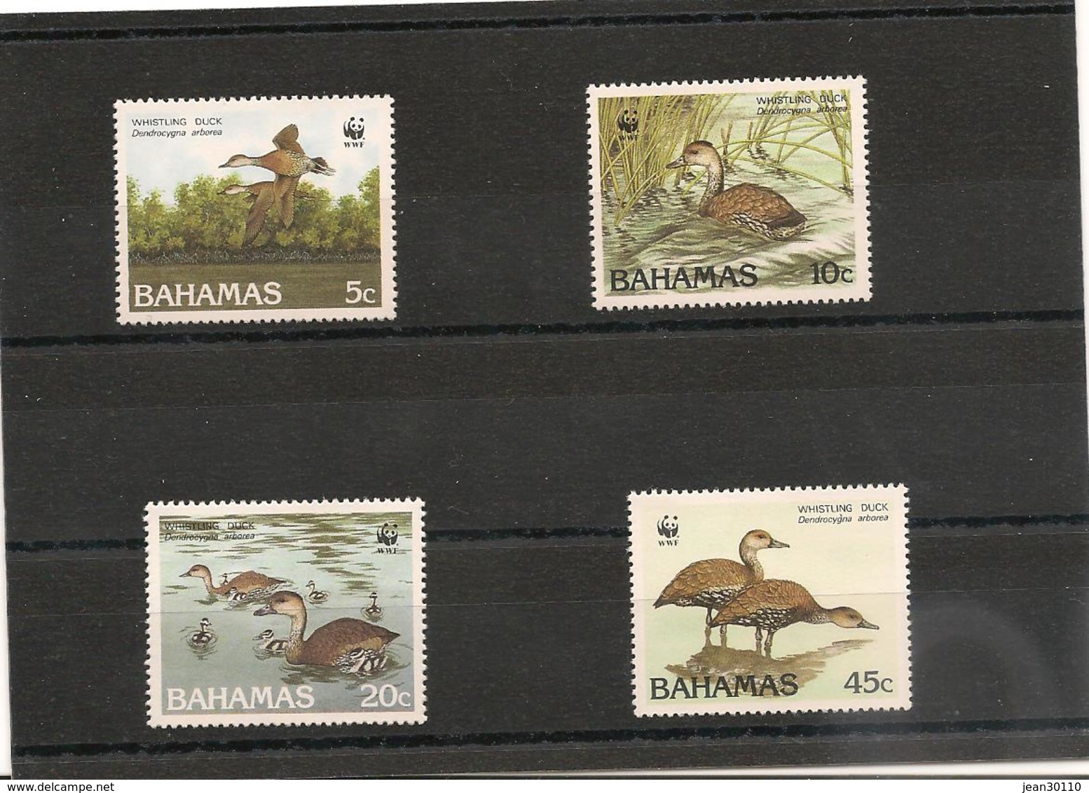 BAHAMAS  Faune:  Canard/Duck Année 1988 N°Y/T : 659/62**  Côte : 20,50 € - Bahamas (1973-...)