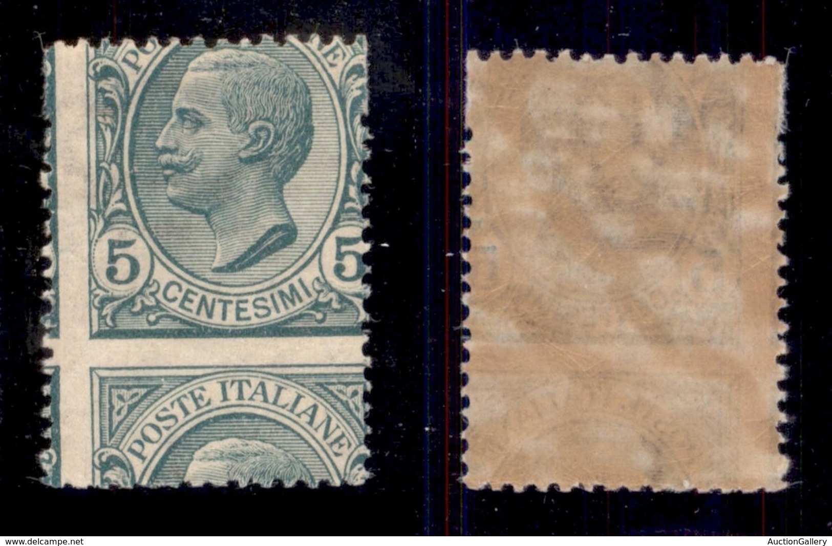 REGNO D'ITALIA - REGNO - 1906 - 5 Cent Leoni (81-varietà) - Dentellatura Inferiore Spostata In Basso - Gomma Integra - Sonstige & Ohne Zuordnung