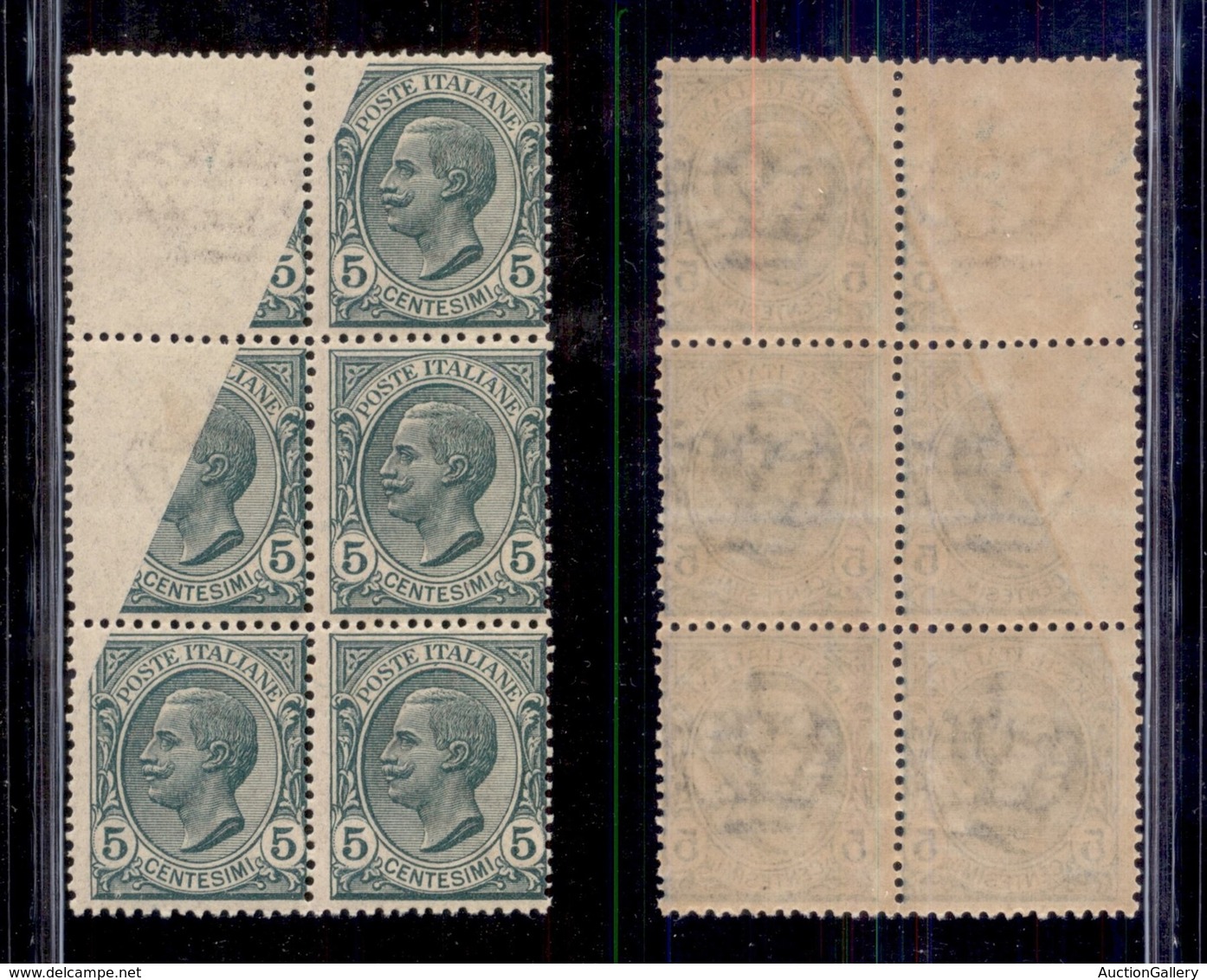 REGNO D'ITALIA - REGNO - 1906 - 5 Cent Leoni (81aa) - Blocco Di 6 Con Stampa Mancante Su 3 Pezzi - Gomma Integra (900++) - Sonstige & Ohne Zuordnung