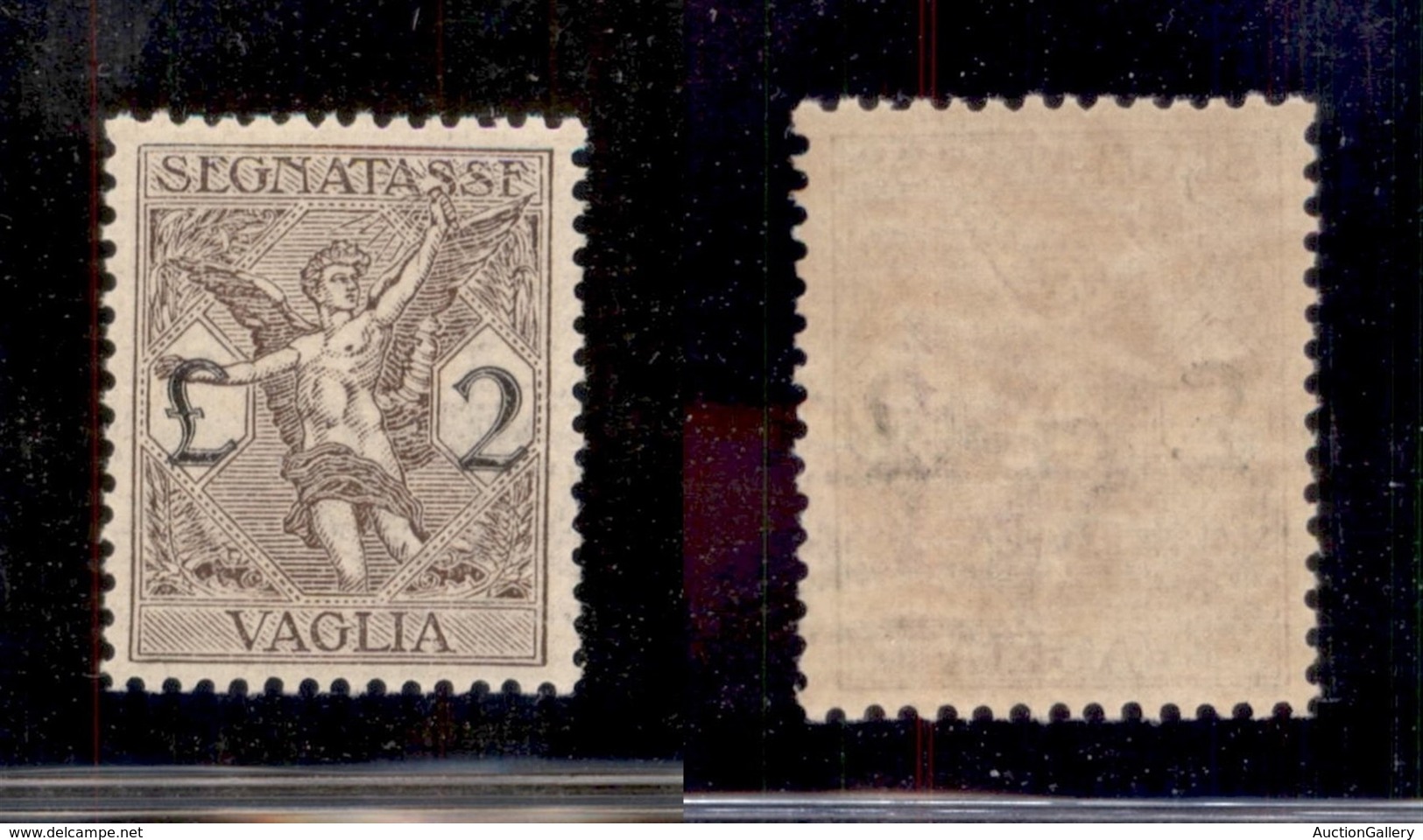 REGNO D'ITALIA - REGNO - 1924 - Segnatasse Vaglia - 2 Lire (5) - Gomma Integra - Autres & Non Classés