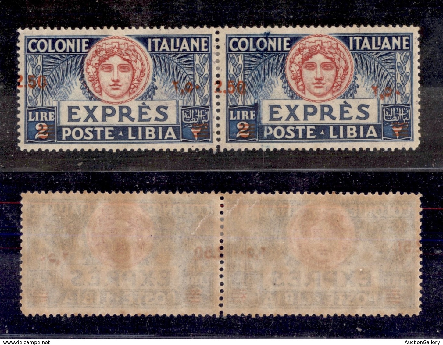 COLONIE - LIBIA - 1926 - Espressi - 2,50 Lire Su 2 - Coppia Orizzontale Con Soprastampa Obliqua Del Nuovo Valore - Varie - Autres & Non Classés