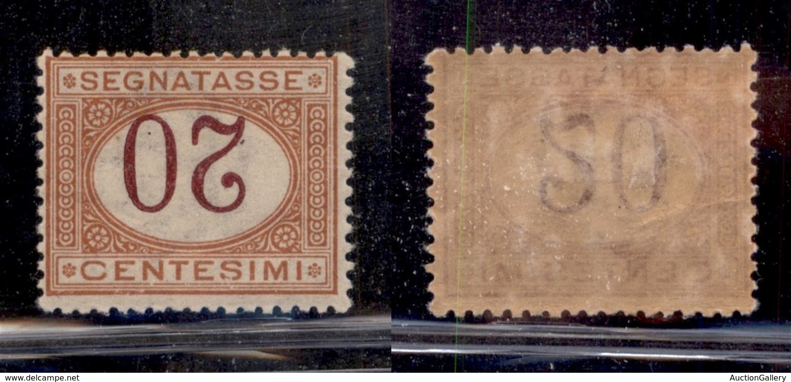 REGNO D'ITALIA - SEGNATASSE - 1894 - 20 Cent Segnatasse (22a) - Cifre Capovolte - Gomma Originale (100) - Other & Unclassified