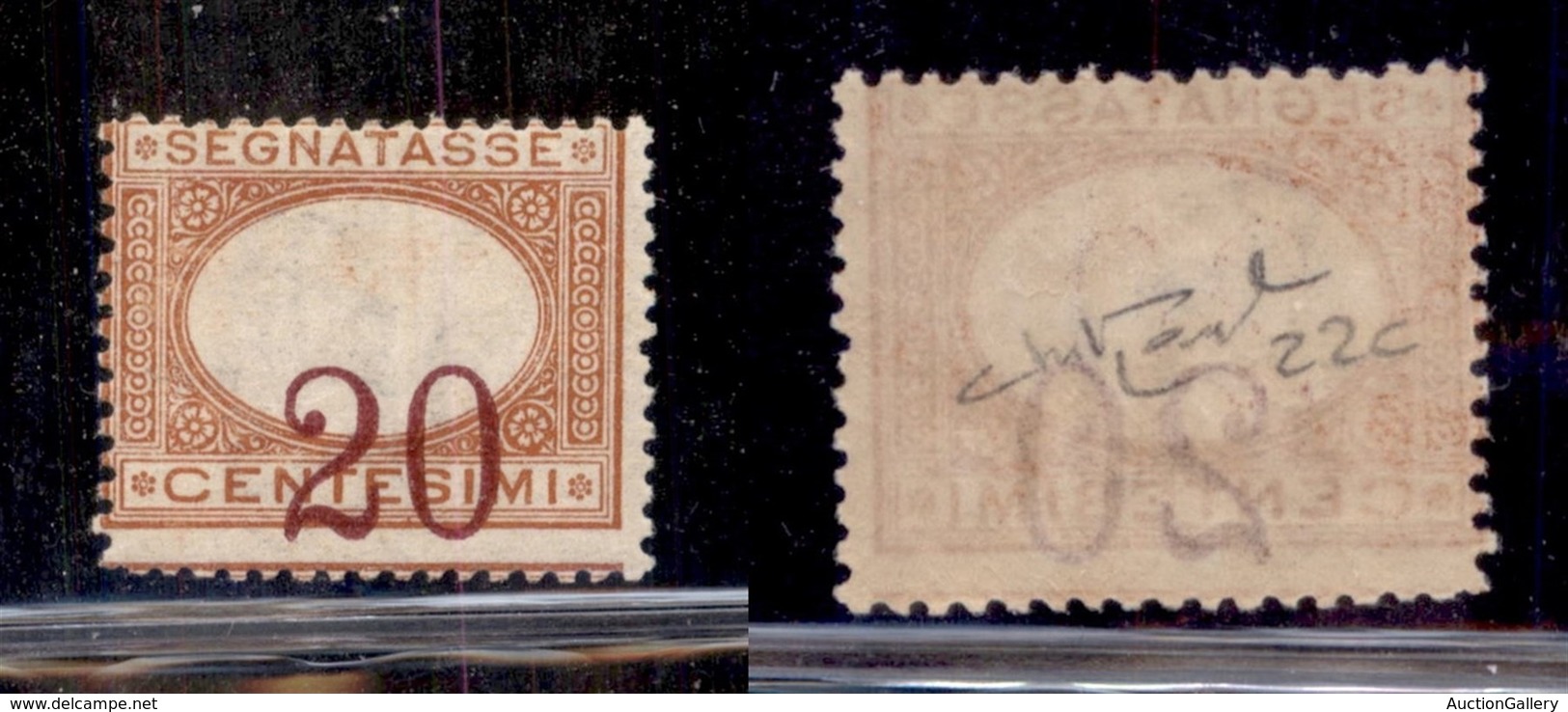 REGNO D'ITALIA - SEGNATASSE - 1894  -20 Cent Segnatasse (22c) - Cifre Molto Spostate - Gomma Originale - Raybaudi - Other & Unclassified