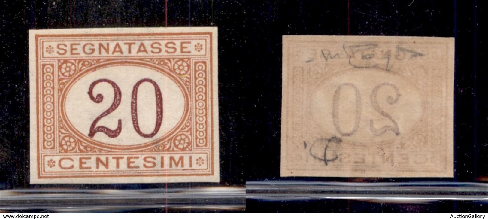 REGNO D'ITALIA - SEGNATASSE - 1894 - 20 Cent Segnatasse (22g) - Non Dentellato - Gomma Integra - Cert. Raybaudi (240) - Other & Unclassified