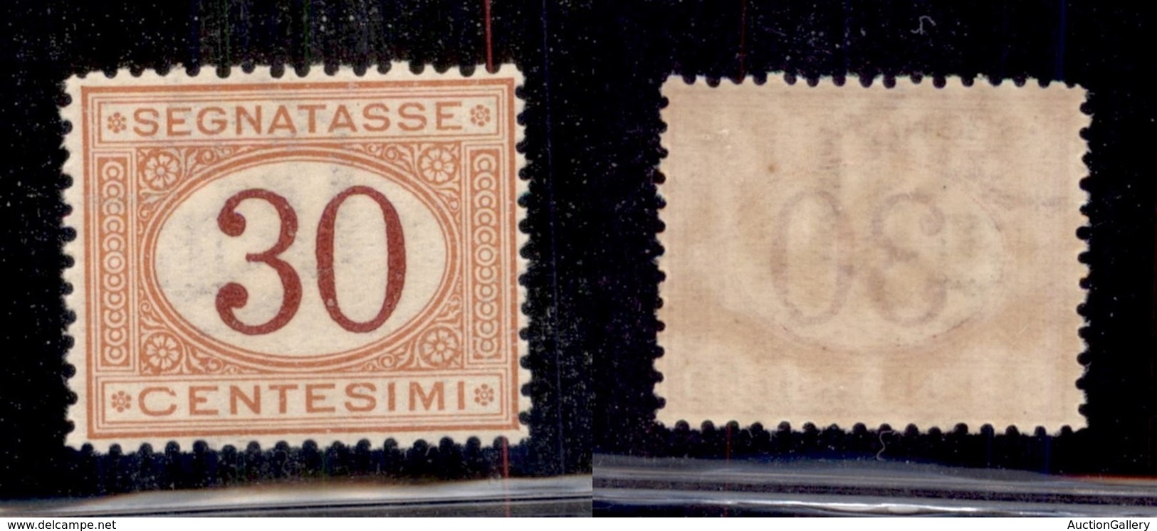 REGNO D'ITALIA - SEGNATASSE - 1890 - 30 Cent Segnatasse (23) - Gomma Integra - Ottimamente Centrato (40) - Other & Unclassified