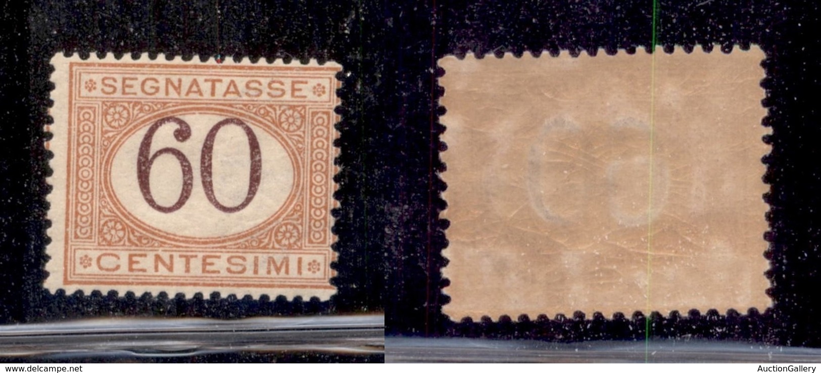 REGNO D'ITALIA - SEGNATASSE - 1924 - 60 Cent Segnatasse (33) - Gomma Integra (150) - Other & Unclassified