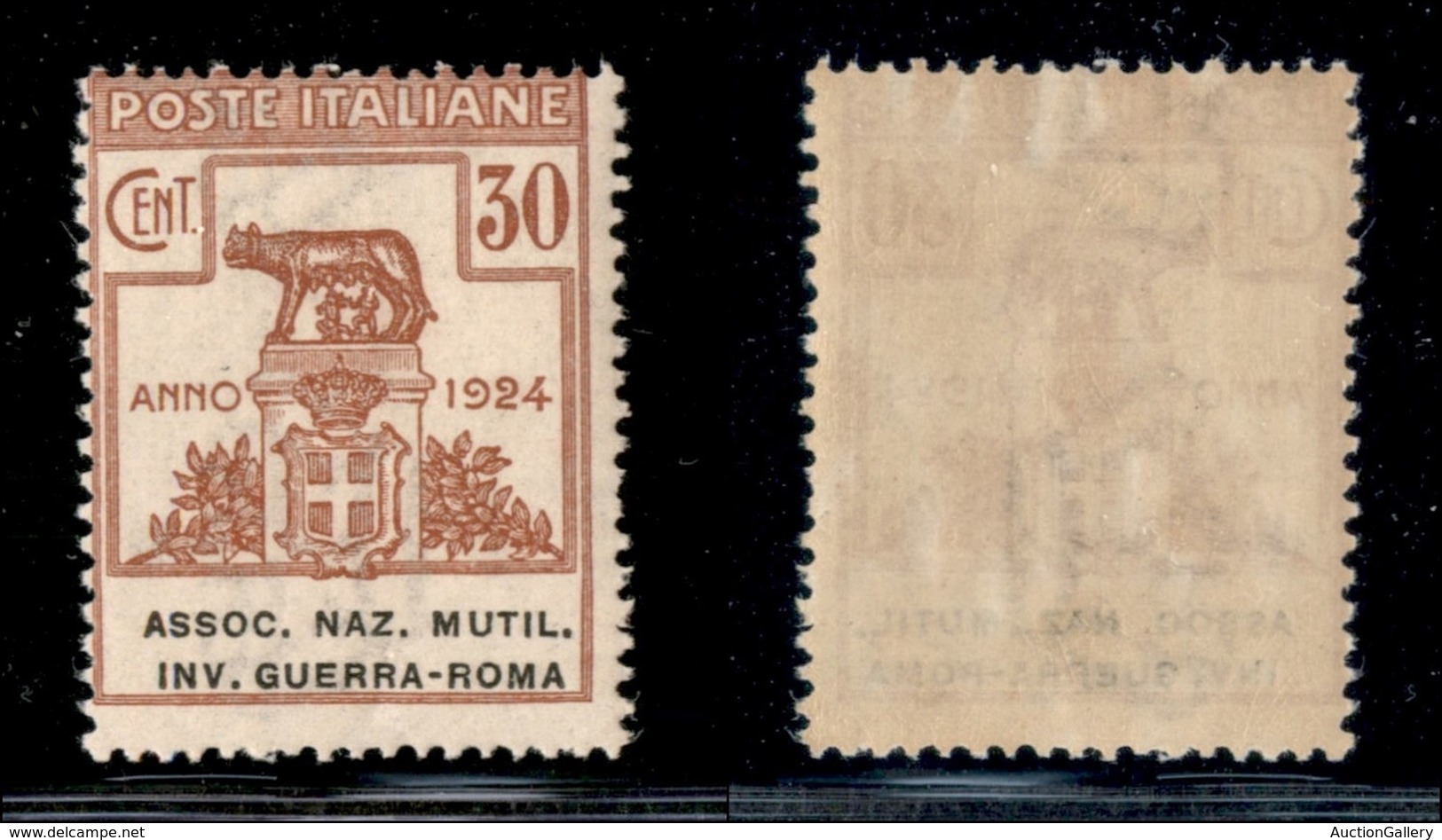 REGNO D'ITALIA - PARASTATALI - 1924 - 30 Cent Assoc. Naz. Mutil. Inv. Guerra-Roma (8) - Gomma Integra (50) - Other & Unclassified