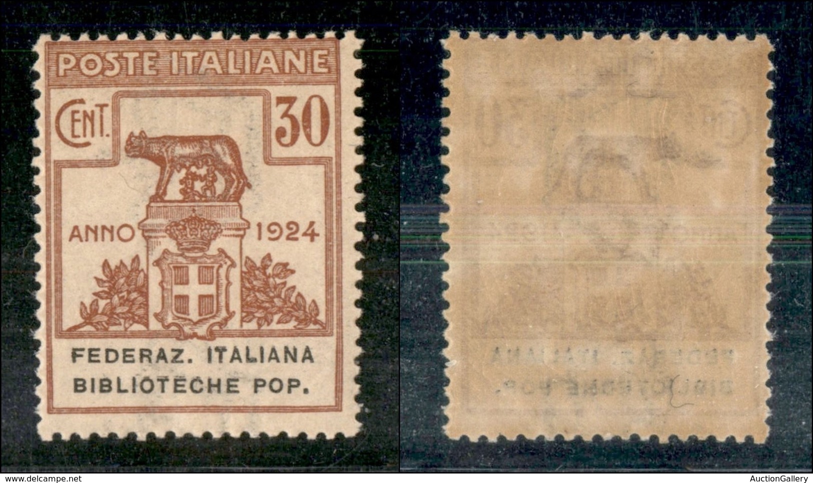 REGNO D'ITALIA - PARASTATALI - 1924 - 30 Cent Federaz. Italiana Biblioteche Pop. (35) - Gomma Originale - Invisibile Tra - Other & Unclassified