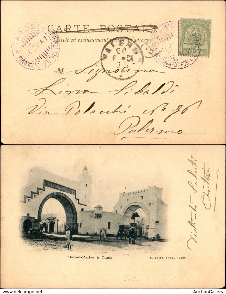 REGNO D'ITALIA - NAVIGAZIONE/PIROSCAFI - Cariddi Piroscafo Postale Italiano 16.6.1 (viola) - Cartolina Da Tunisi A Paler - Other & Unclassified