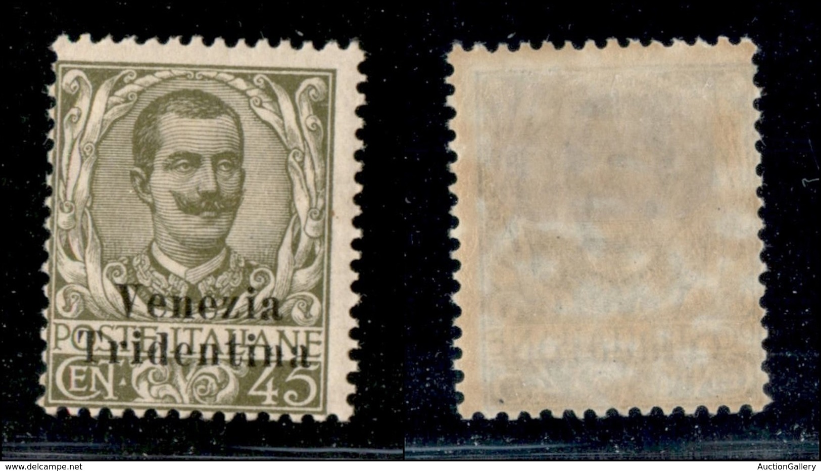 OCCUPAZIONI - TRENTINO ALTO ADIGE - 1918 - 45 Cent Floreale (25) - Gomma Originale (260) - Sonstige & Ohne Zuordnung