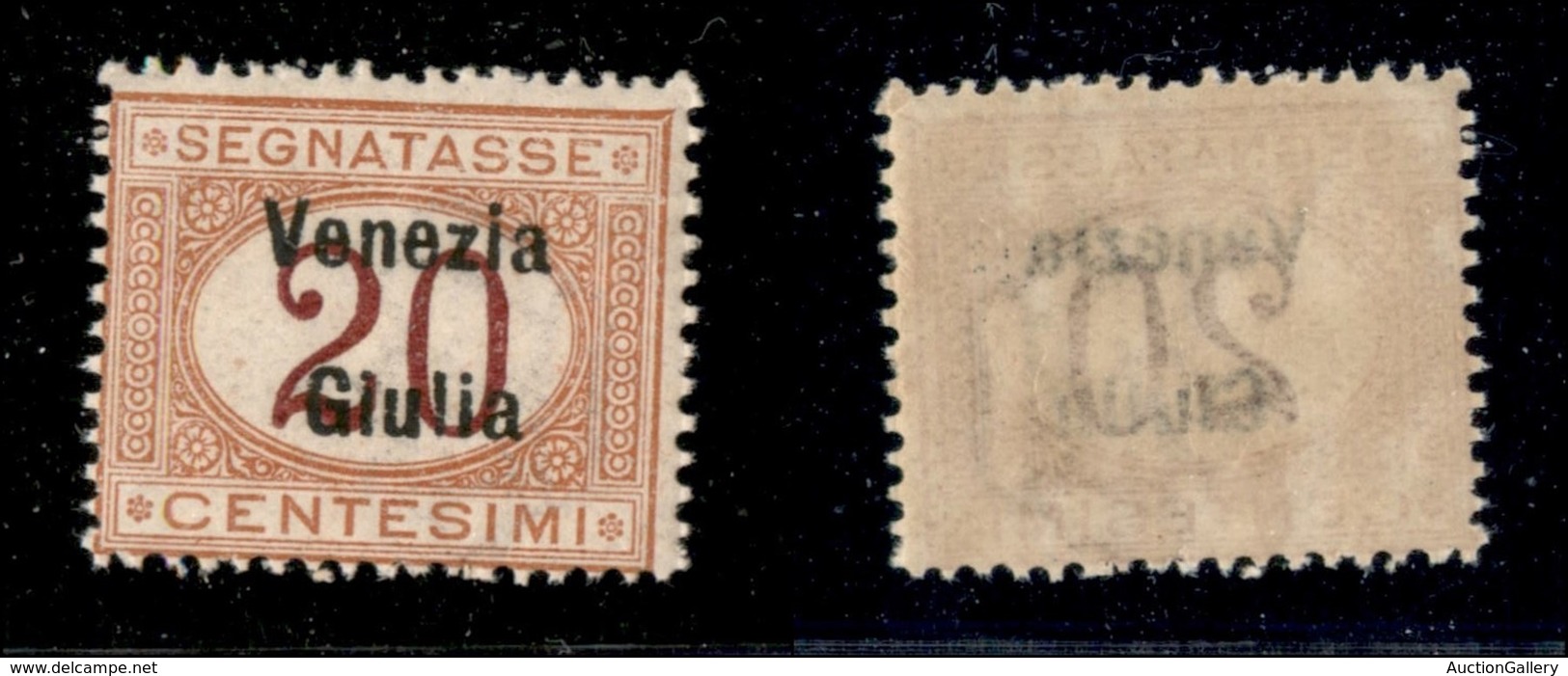 OCCUPAZIONI - VENEZIA GIULIA - 1918 - 20 Cent Segnatasse (3) - Gomma Integra (75) - Venezia Giulia