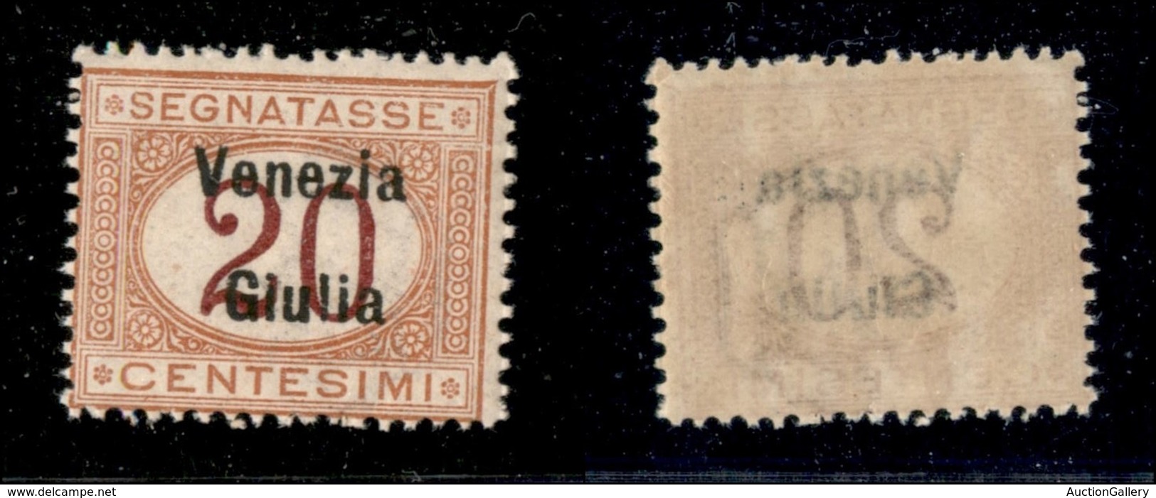 OCCUPAZIONI - VENEZIA GIULIA - 1918 - 20 Cent Segnatasse (3) - Gomma Integra (75) - Venezia Giuliana