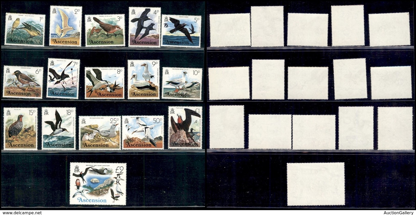 ESTERO - ASCENSION - 1979 - Uccelli (196/211) - Serie Completa - Gomma Integra (42) - Other & Unclassified