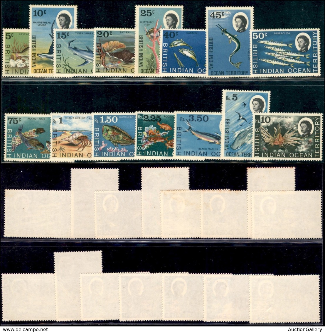 ESTERO - BRITISH INDIAN OCEAN TERRITORY - 1968 - Fauna Marina (16/30) - Serie Completa - Gomma Integra (70) - Other & Unclassified