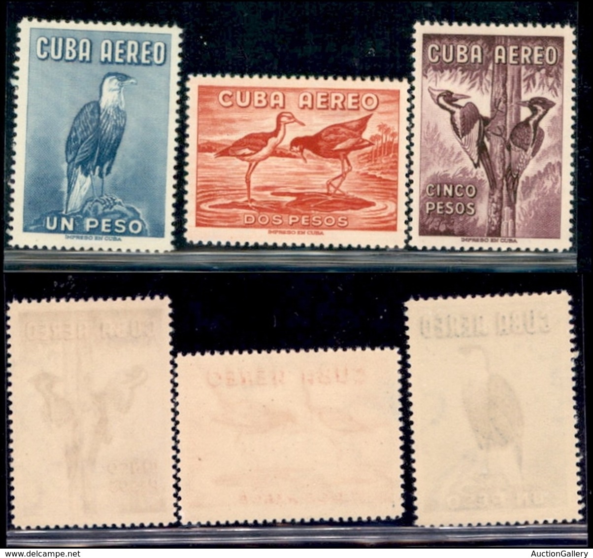 ESTERO - CUBA - 1962 - Uccelli Posta Aerea (768/770) - Serie Completa - Gomma Integra (70) - Autres & Non Classés